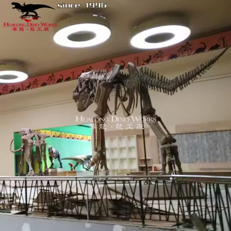 Artificial Realistic T-rex Skeleton Fossil (1)