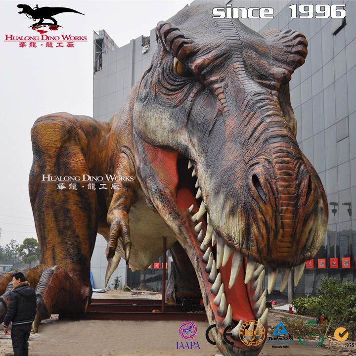 Zigong Hualong Science And Technology Actually Helped Liu Qian Wake Up 40m Tyrannosaurus Rex (2)